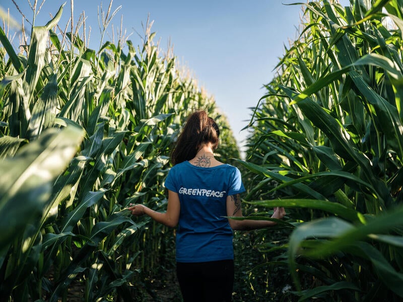Financement de l’agroécologie en Wallonie : le compte n’y est pas !