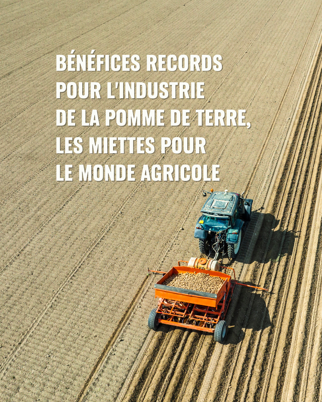 Rapport : bénéfices records pour l’industrie de la pomme de terre, les miettes pour le monde agricole