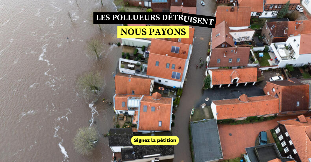 Faisons payer les pollueurs