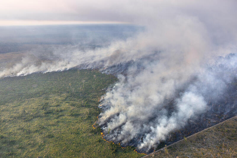 Plus de particules fines dans l’air de la forêt amazonienne que dans celui des mégapoles telles que Pékin, Londres ou São Paulo
