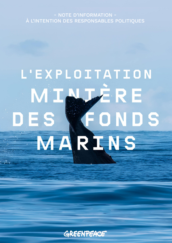 Note d&rsquo;information : l&rsquo;exploitation minière des fonds marins