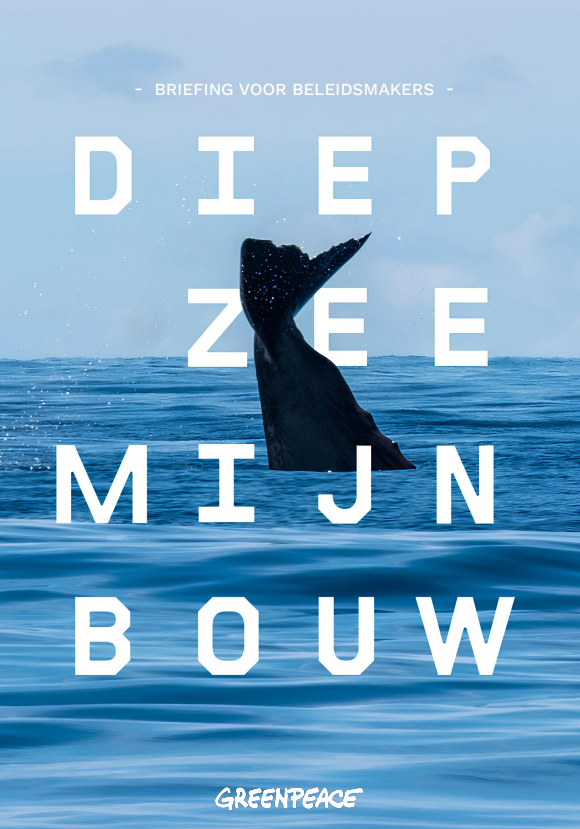Briefing: diepzeemijnbouw