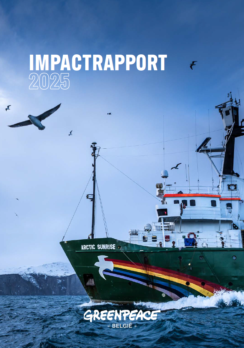 Impactrapport 2025