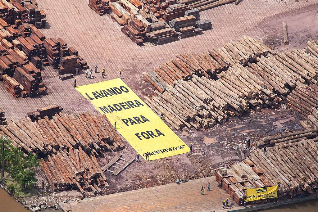 Protesto contra exploração ilegal de madeira em Belém (PA).