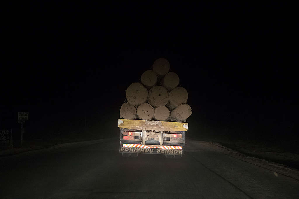 Caminhão leva madeira ilegal durante a noite.