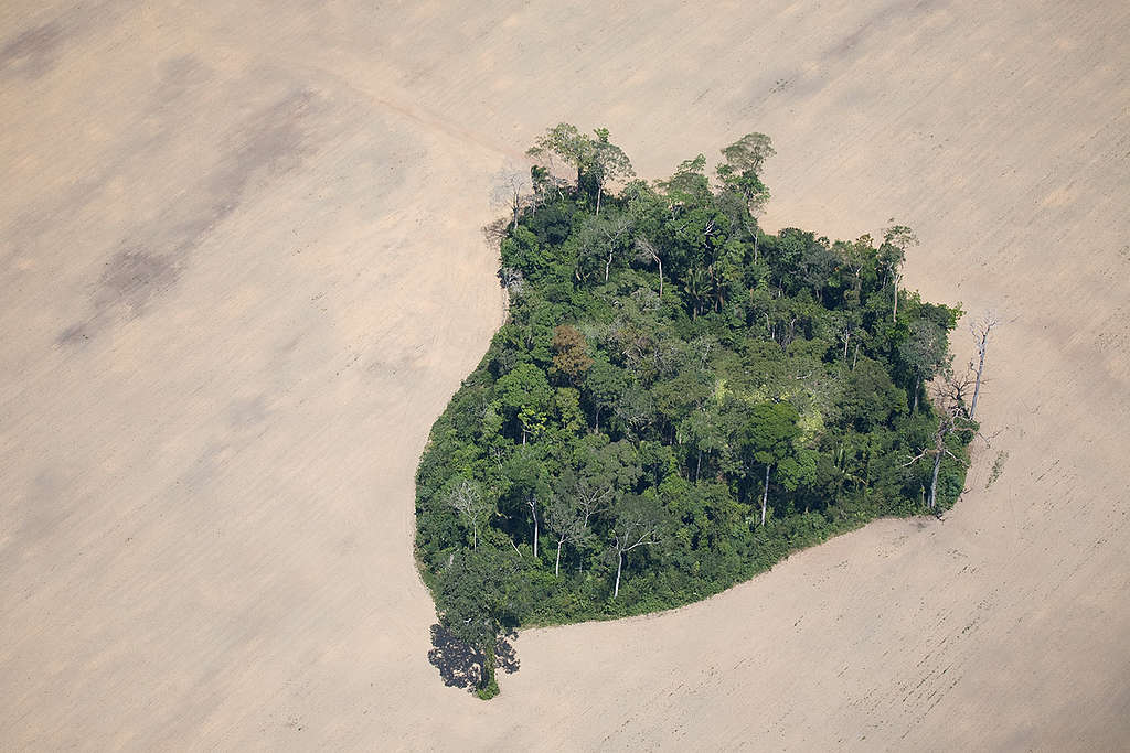 Imagem aérea de área desmatada em Itaituba.