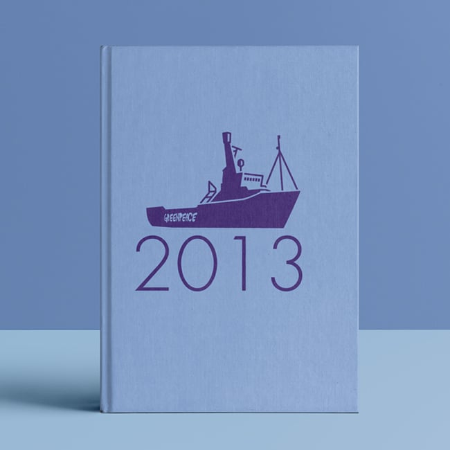 Relatório Anual 2013