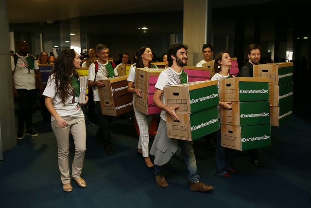 Projeto de Lei do Desmatamento Zero completa um ano no Congresso