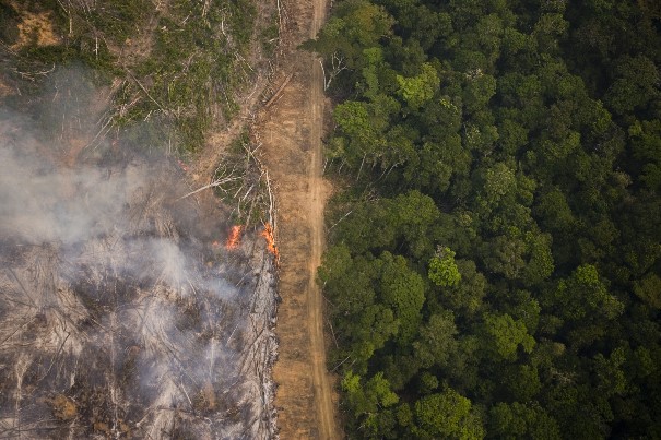 É hora de virar o jogo: PNaRA X PL do Veneno - Greenpeace Brasil