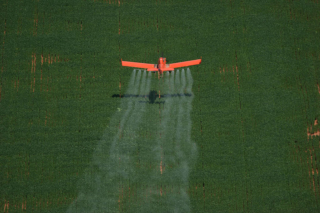 Avião pulveriza área agrícola no Brasil