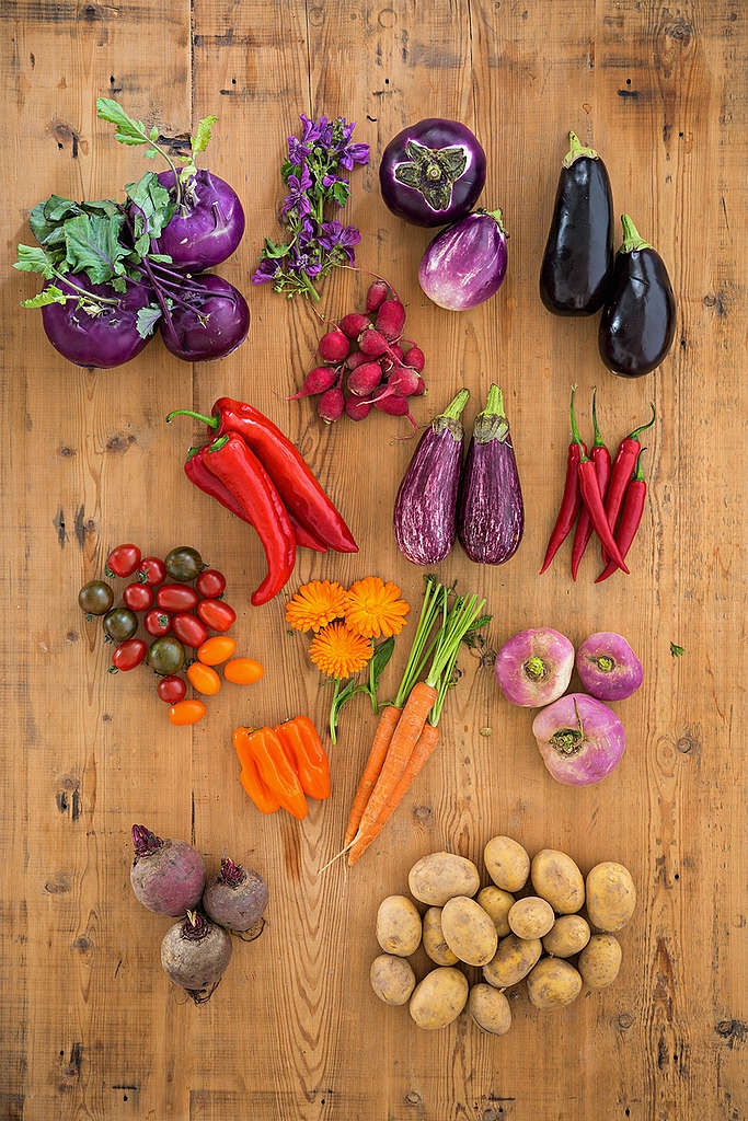 Vegetais sazonais e regionais