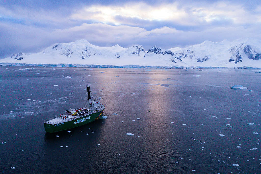 Navio Arctic Sunrise navega na Antártida