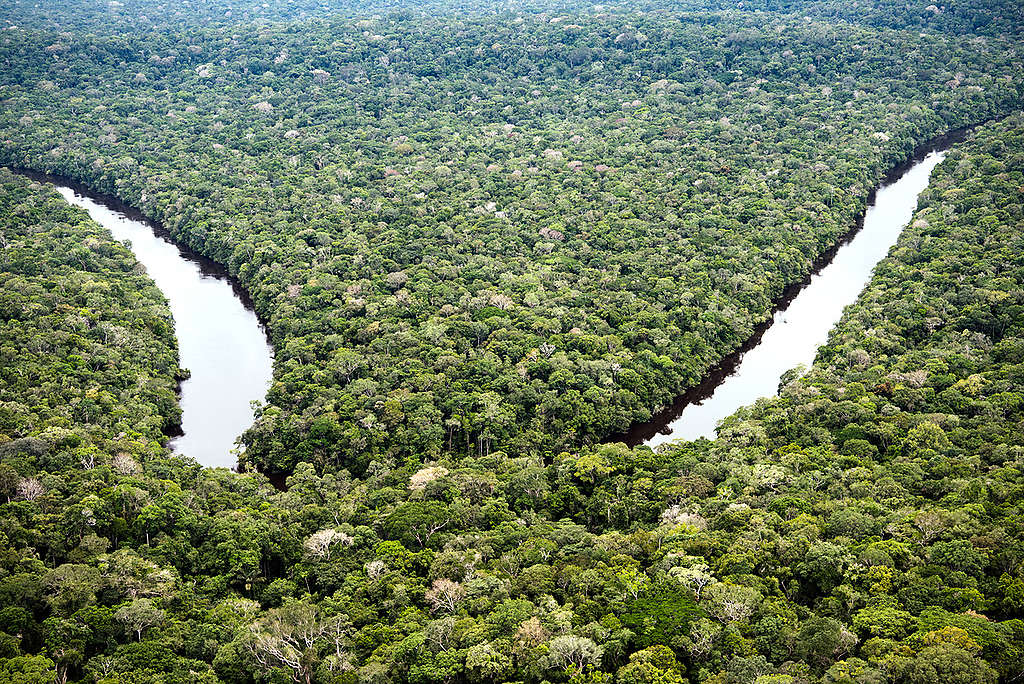 Forest Conservation Units in the Brazilian Amazon. © Daniel Beltrá