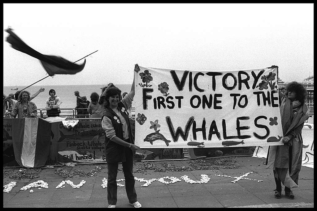 Ativistas seguram cartaz comemorando o fim da caça ilegal de baleias.
