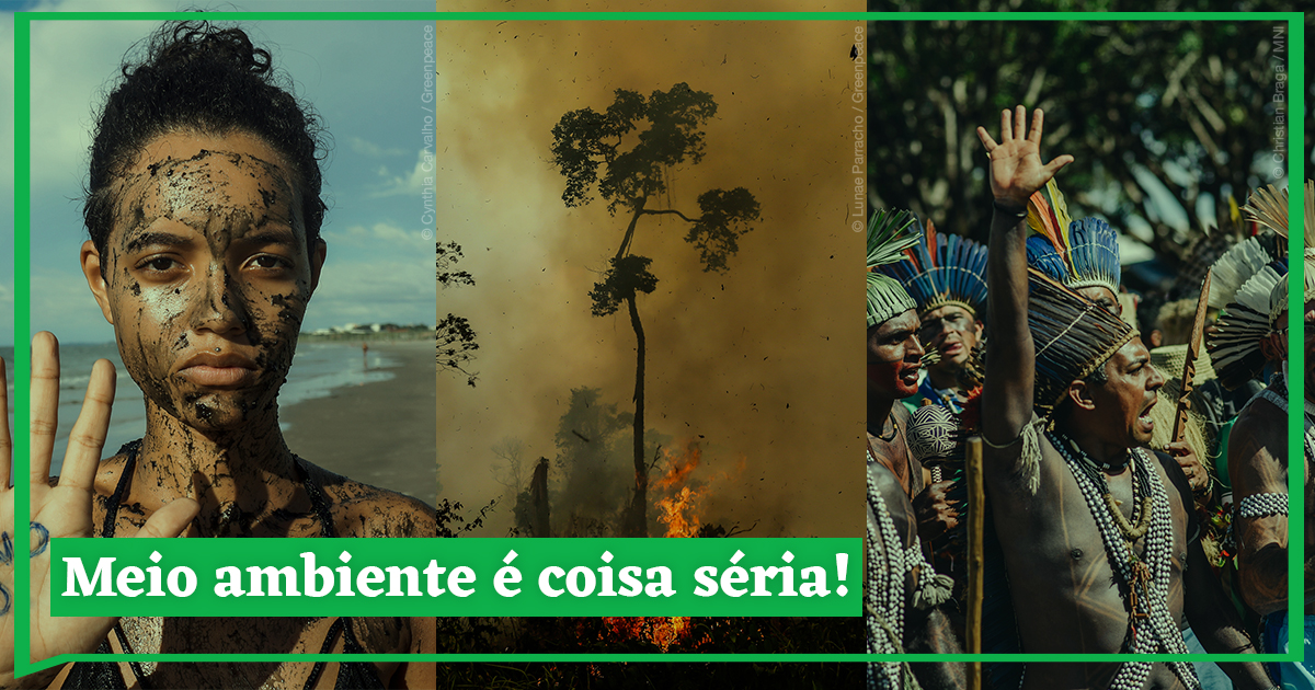 Greenpeace Brasil - Não pode ver um Quiz que já quer responder? 💙 Teste o  quanto você sabe sobre o Greenpeace e o meio ambiente e desafie seus amigos  também