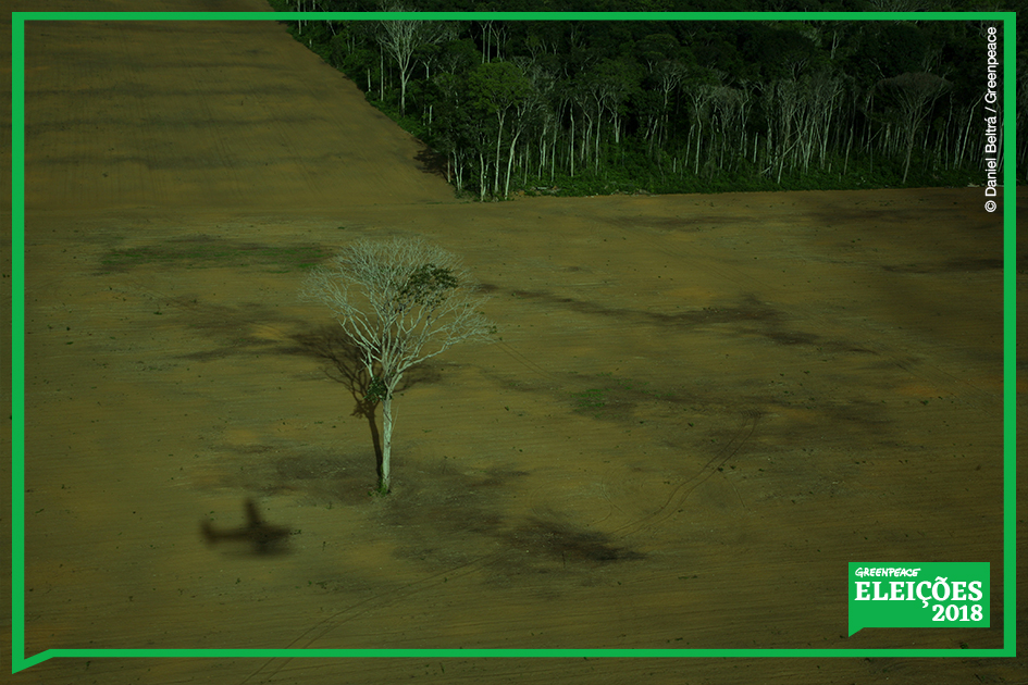 Desmatamento na Amazônia para produção de soja