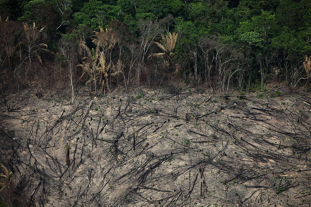 Área desmatada em Marabá, no estado do Pará.