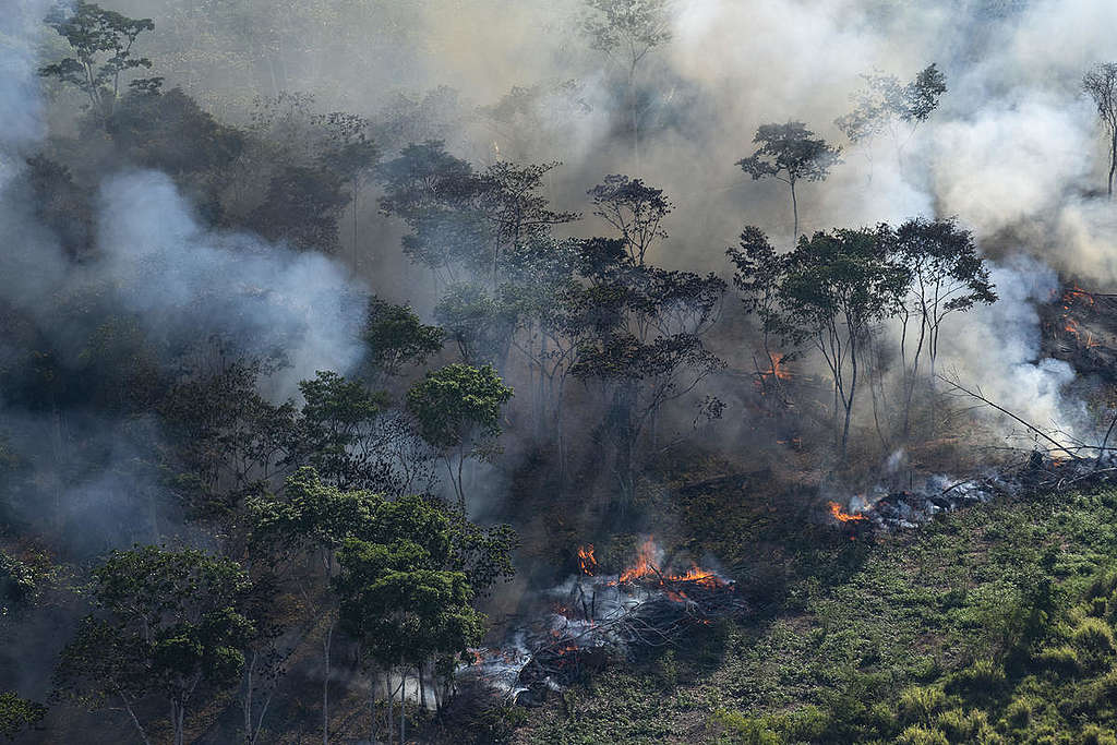 Forest Fires in Brazilian Amazon 2018. © Daniel Beltrá