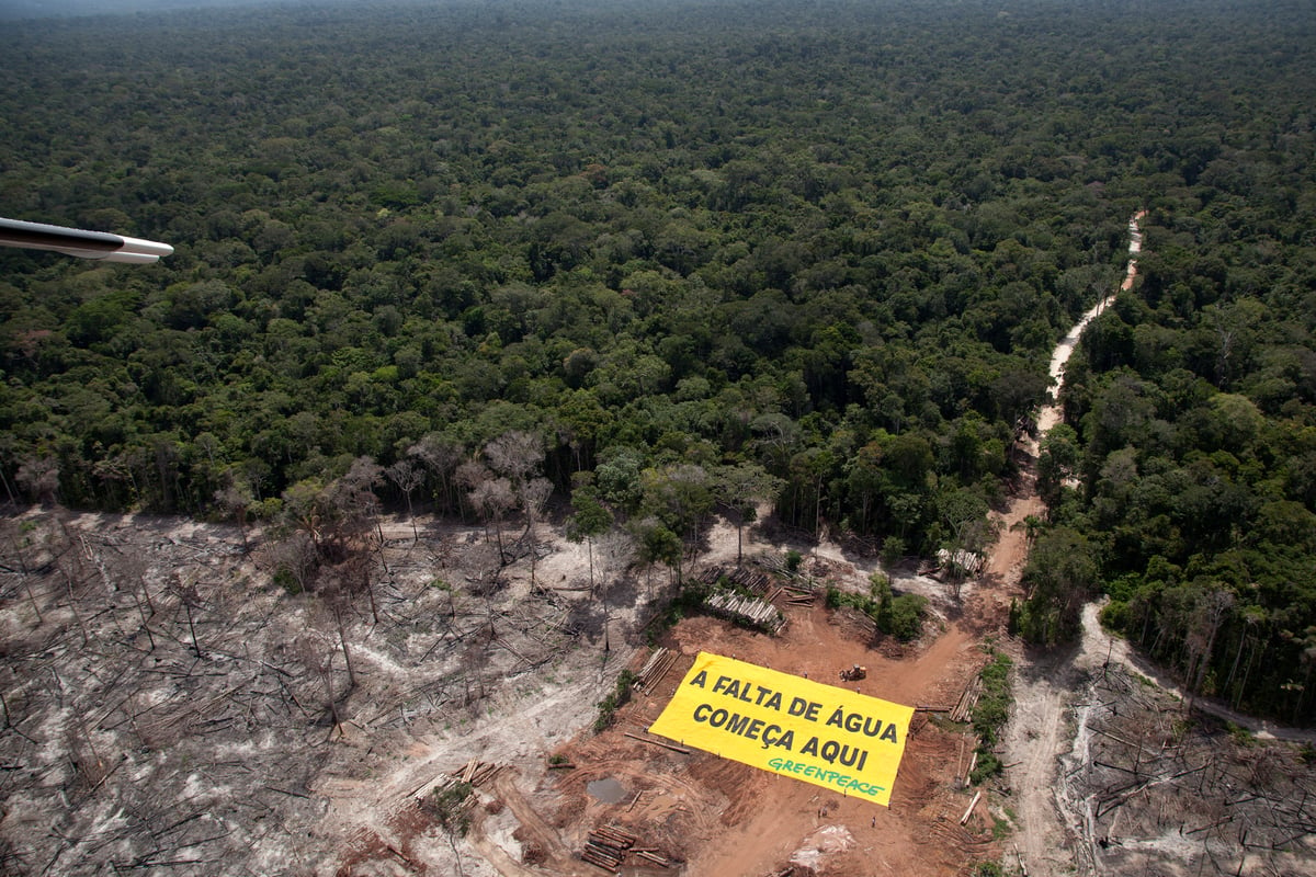 Deforestation and Water Crisis Banner in the Amazon. 