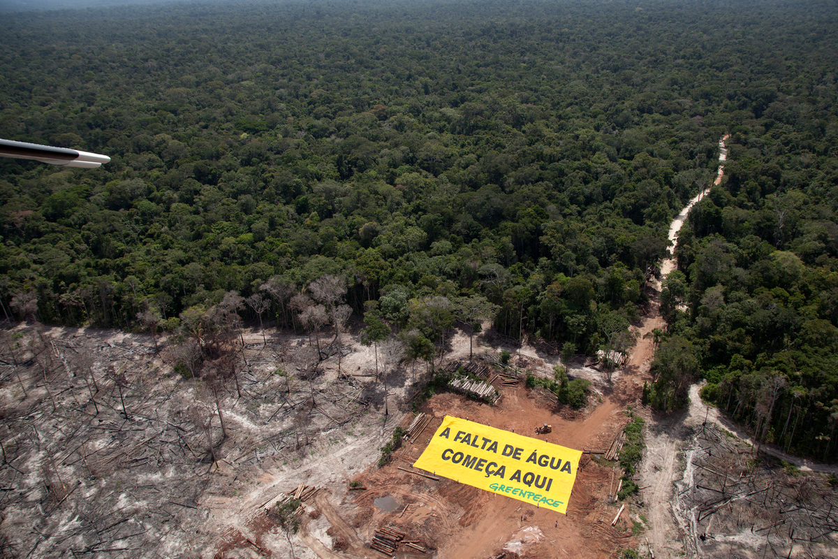 Deforestation and Water Crisis Banner in the Amazon. © Marizilda Cruppe