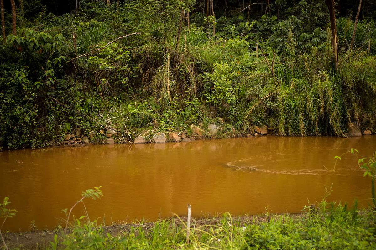 Trecho do rio Gualaxo do Norte, por onde a lama se espalhou para todo o rio Doce causando perdas irreparáveis para a biodiversidade.