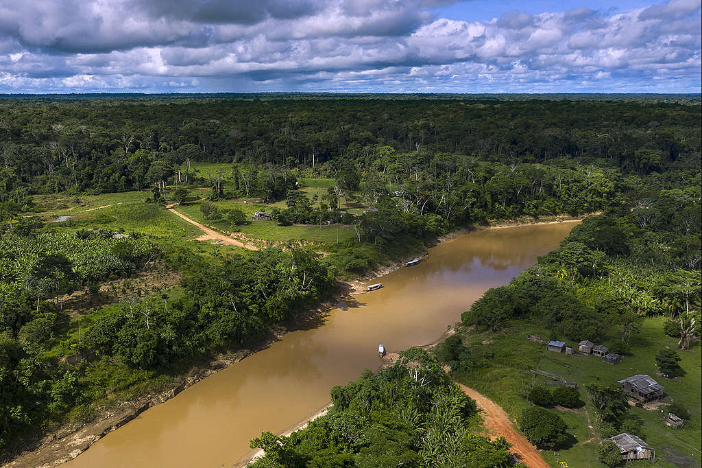 Na reserva Chico Mendes, no Acre, um retrato da destruição da Amazônia