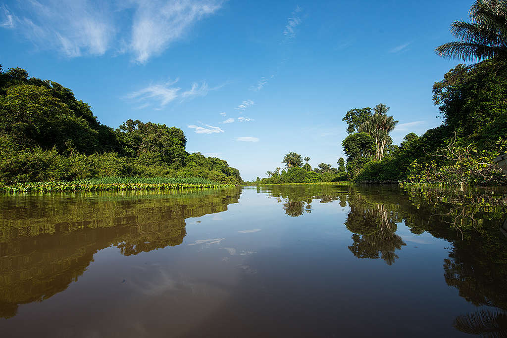 Tapajós River in the Amazon Rainforest. © Valdemir Cunha Tapajós River in the Amazon Rainforest. © Valdemir Cunha