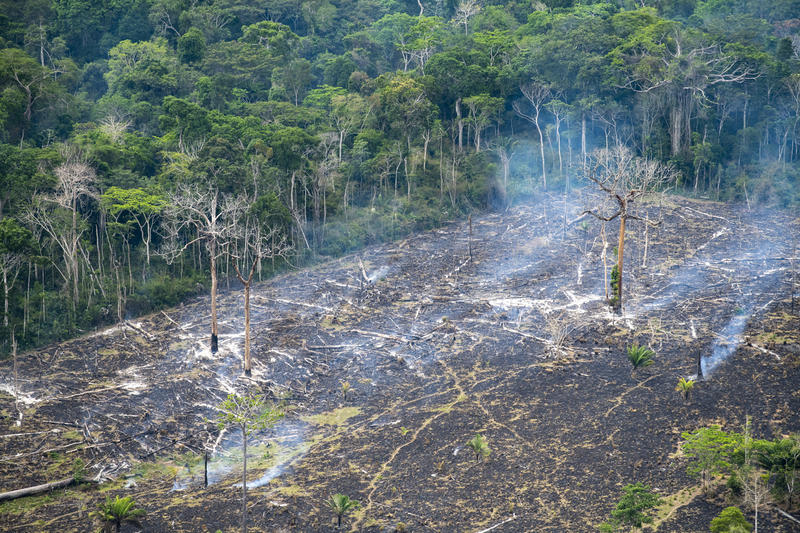 Estrago deixado pelas queimadas criminosas na Amazônia. Iremos cobrar do governo Bolsonaro a necessidade de proteger as florestas e agir para barrar as mudanças climáticas. 