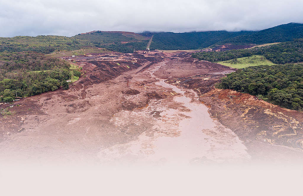 O crime da Vale em Brumadinho - Greenpeace Brasil