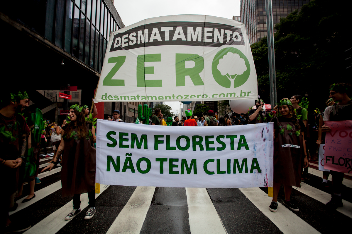 COP21: Climate March in São Paulo. © Zé Gabriel / Greenpeace