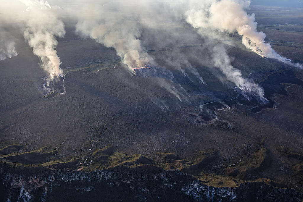 Desmatamento no Cerrado se concentrou no Matopiba - Greenpeace Brasil