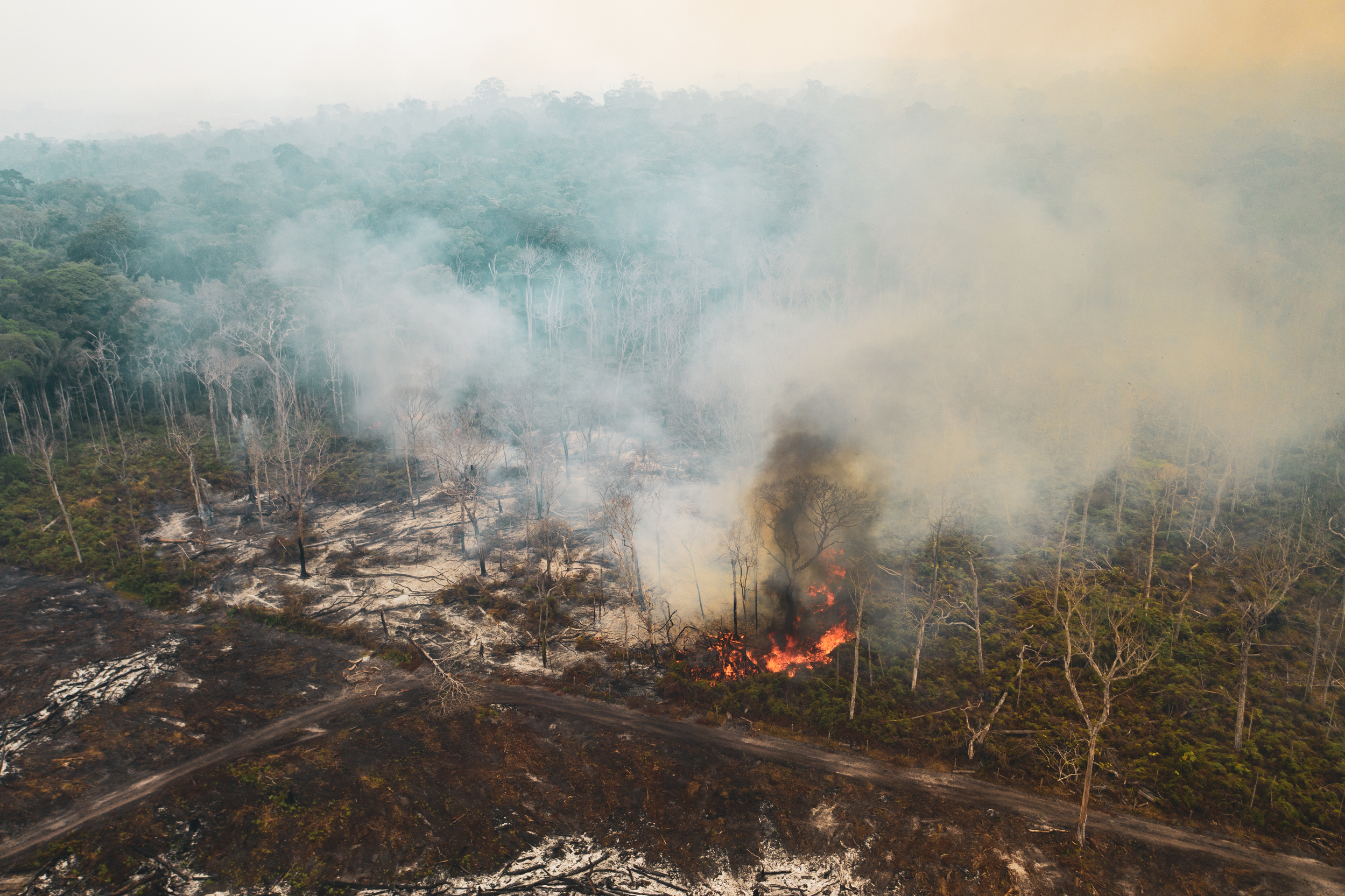 Brasil em Chamas: do Pantanal à Amazônia, a destruição não respeita  fronteiras - Greenpeace Brasil