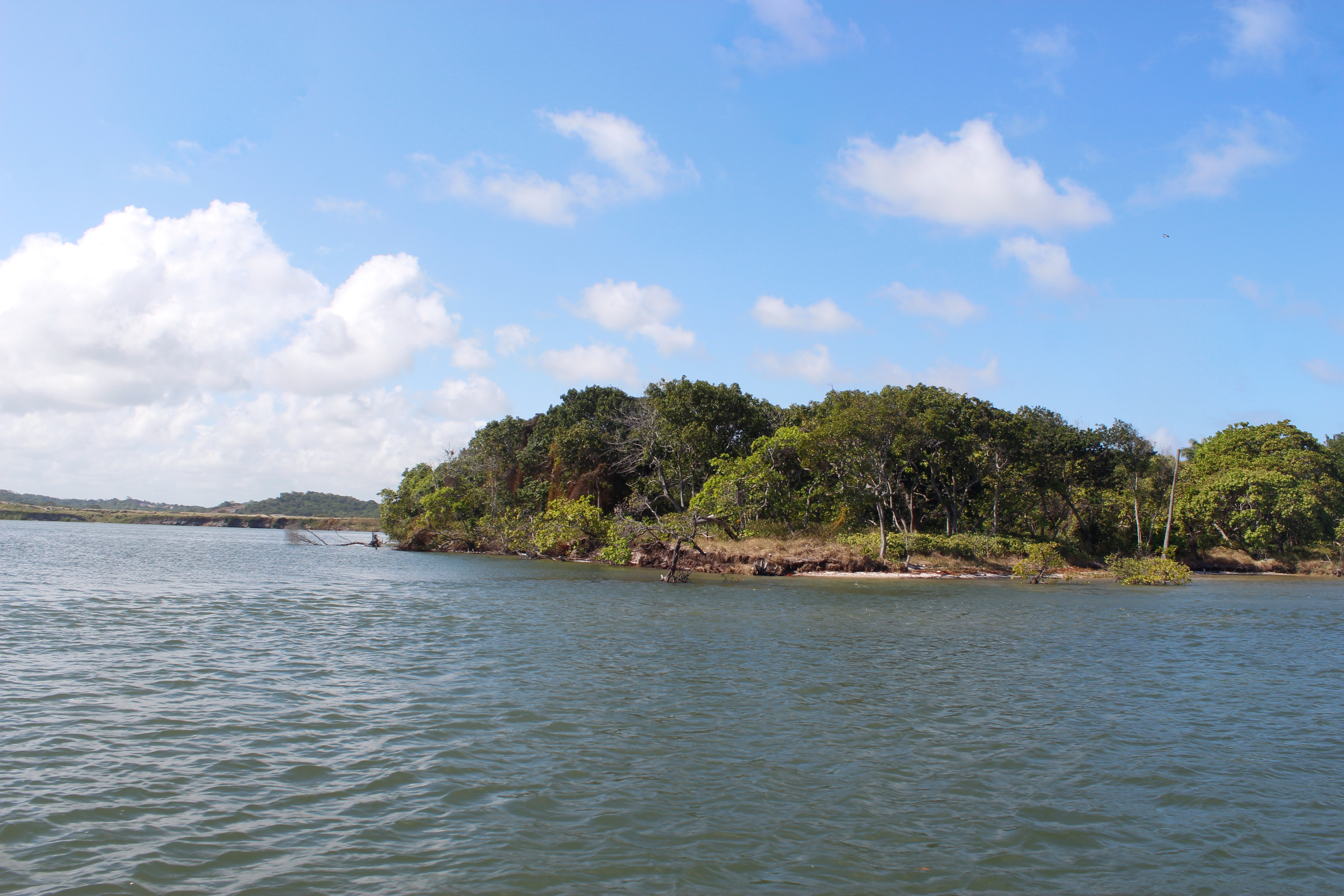 Mangue em Suape, região de muitos pescadores e marisqueiras, que estão sendo impactados pelas manchas de óleo que chegam ao Nordeste.