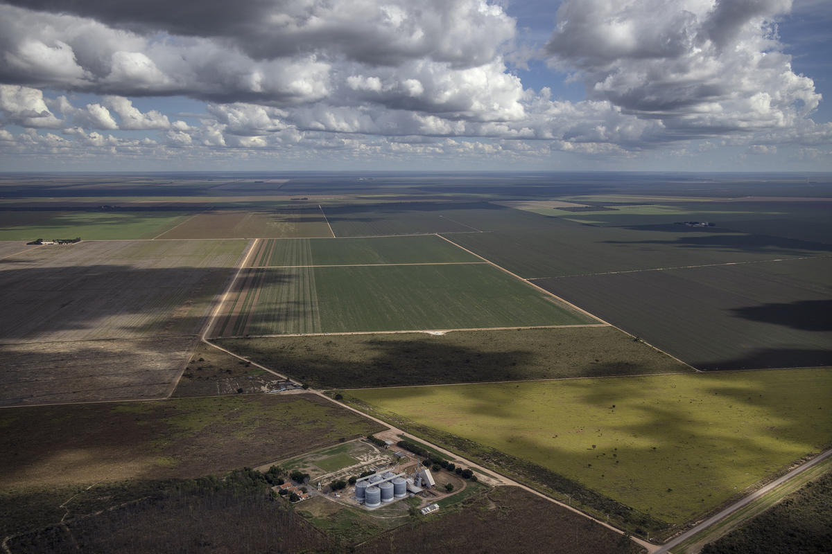 Soya Production in the Cerrado Region, Brazil. © Marizilda Cruppe / Greenpeace