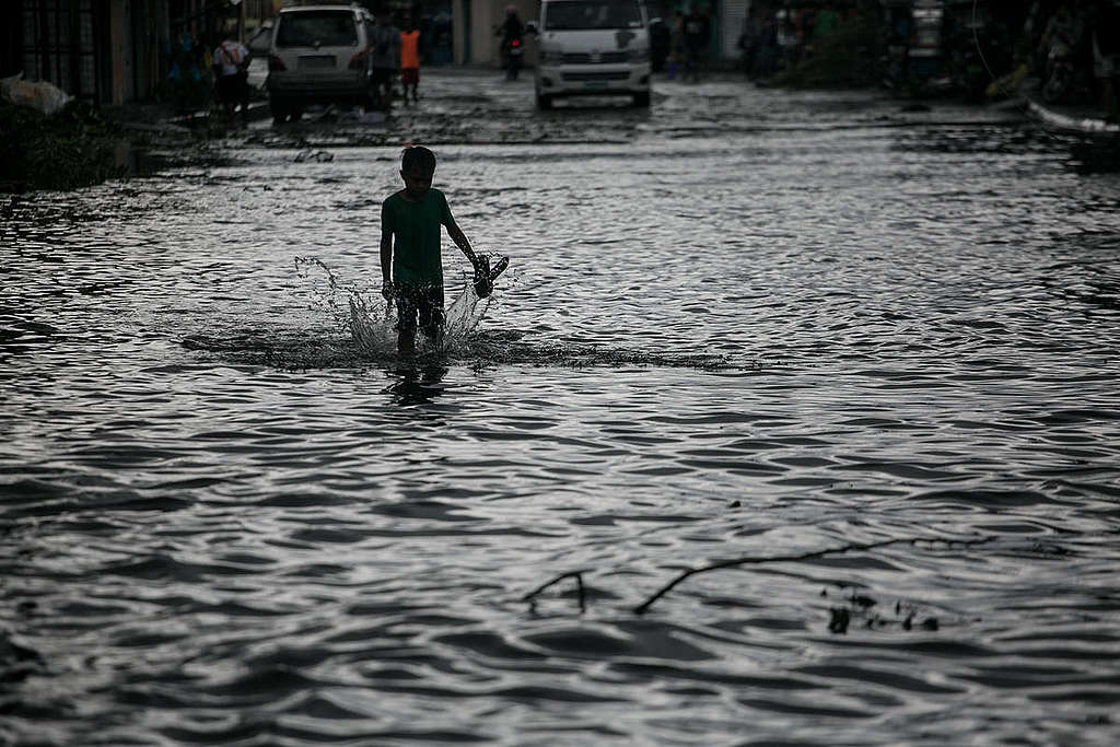 Aftermath of Typhoon Kammuri. © Basilio H. Sepe / Greenpeace Aftermath of Typhoon Kammuri. © Basilio H. Sepe / Greenpeace