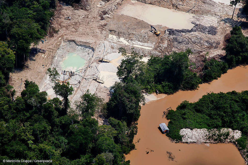 Imagem mostra floresta desmatada e destruída pela exploração garimpeira, com rio de cor turva e barrenta ao lado das árvores derrubadas.