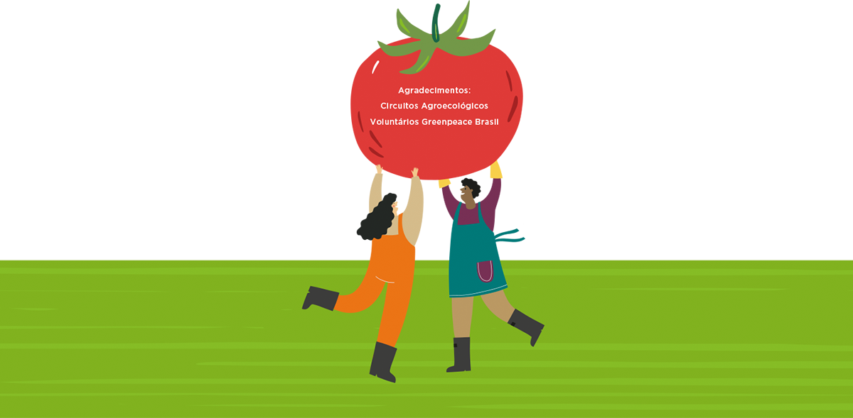 Agradecimentos Circuitos Agroecológicos Voluntários Greenpeace Brasil