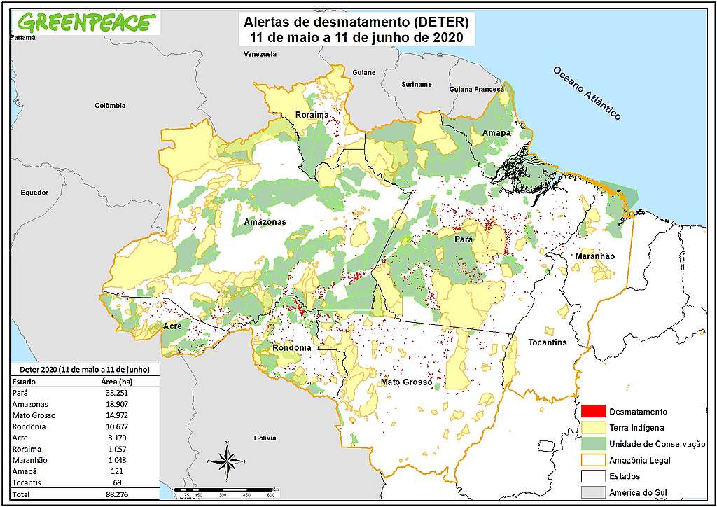 Alertas de desmatamento (DETER) - 11 de maio a 11 de junho de 2020 Alertas de desmatamento (DETER) - 11 de maio a 11 de junho de 2020