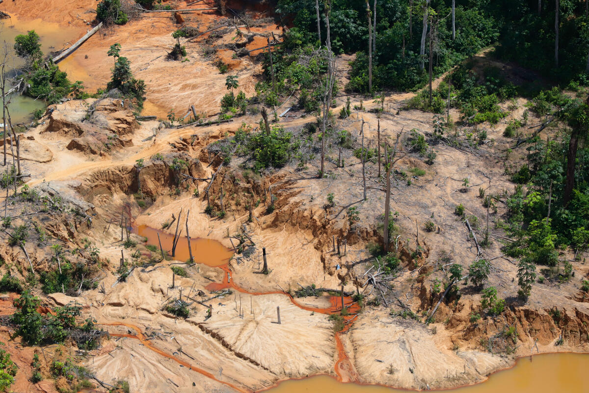 Mining in the Yanomami Indigenous Land in Brazil. © Chico Batata / Greenpeace