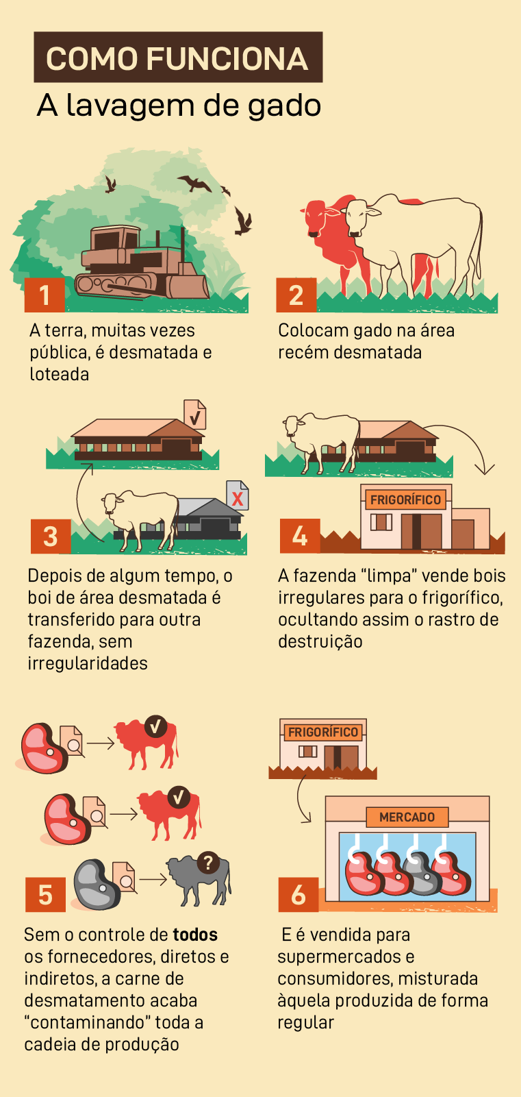 Como funciona a lavagem de gado