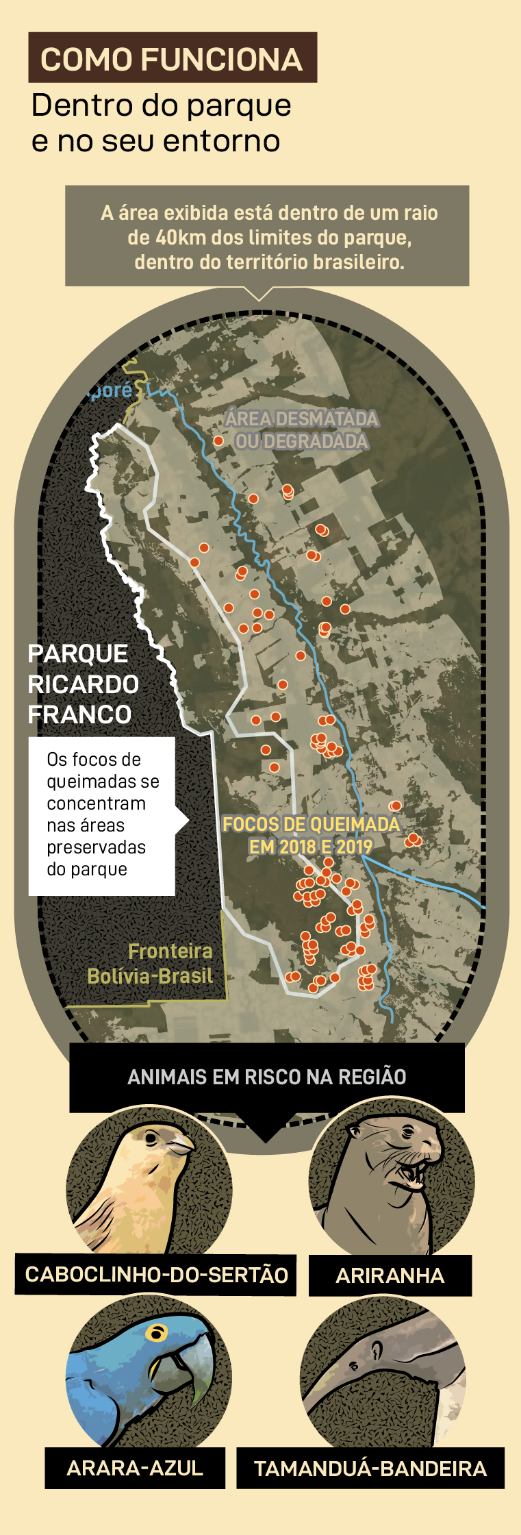 Áreas desmatadas Parque Ricardo Franco
