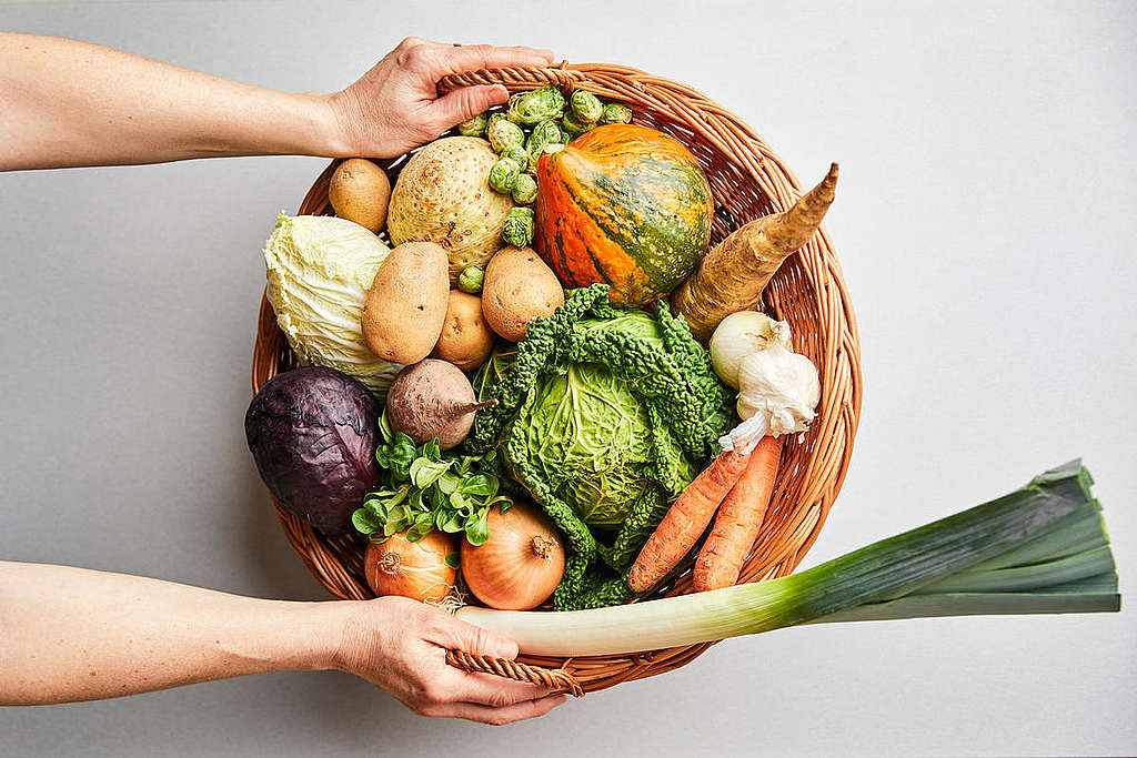 Best Vegetables for Overwintering. © Mitja Kobal / Greenpeace Menos carne, mais floresta © Mitja Kobal / Greenpeace. © Mitja Kobal / Greenpeace