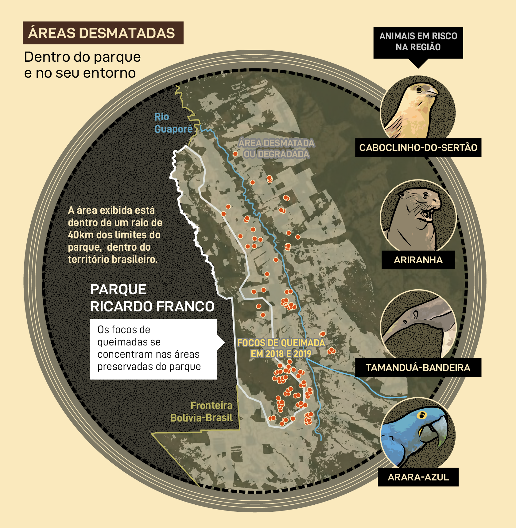 Áreas desmatadas Parque Ricardo Franco