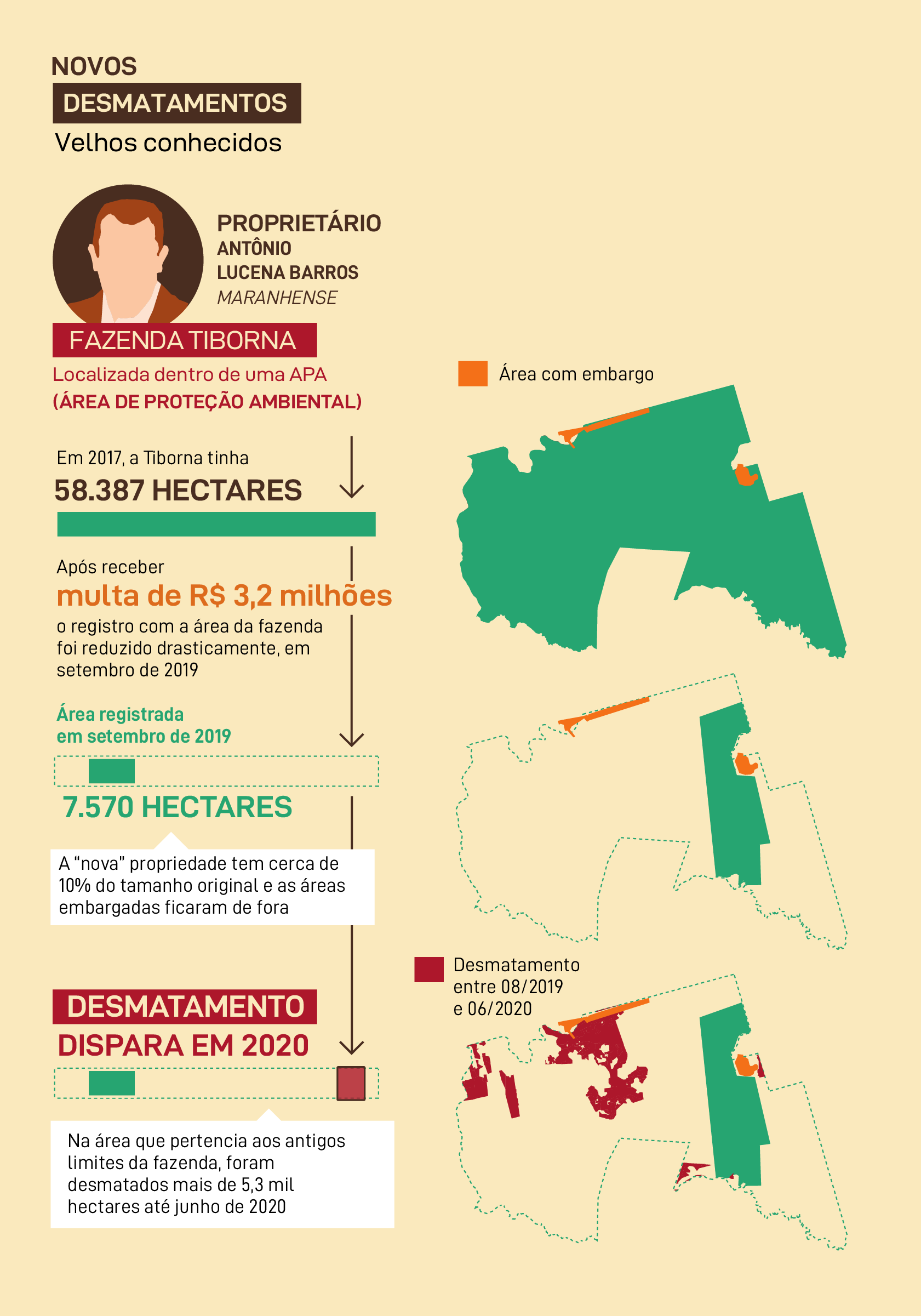 Novos desmatamentos velhos conhecidos