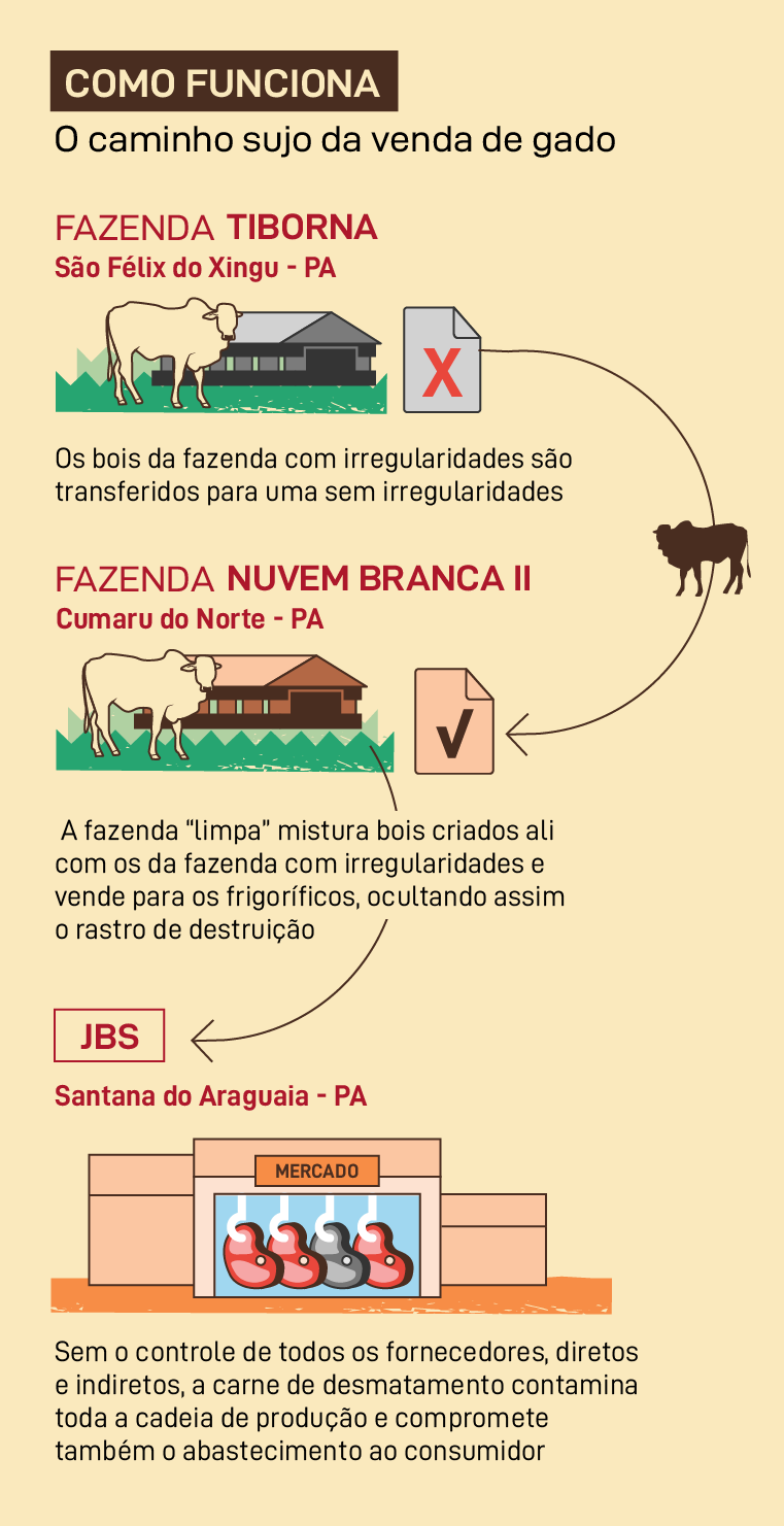 Como funciona o caminho sujo da venda de gado