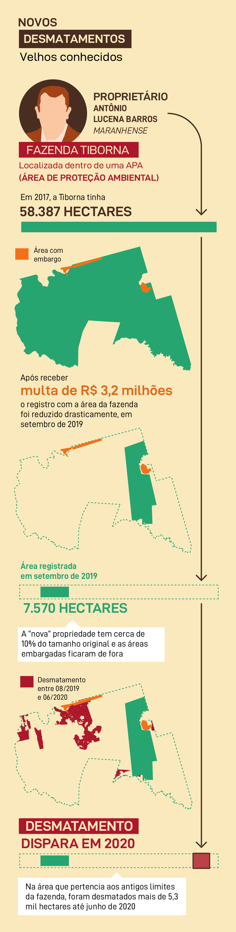 Novos desmatamentos velhos conhecidos