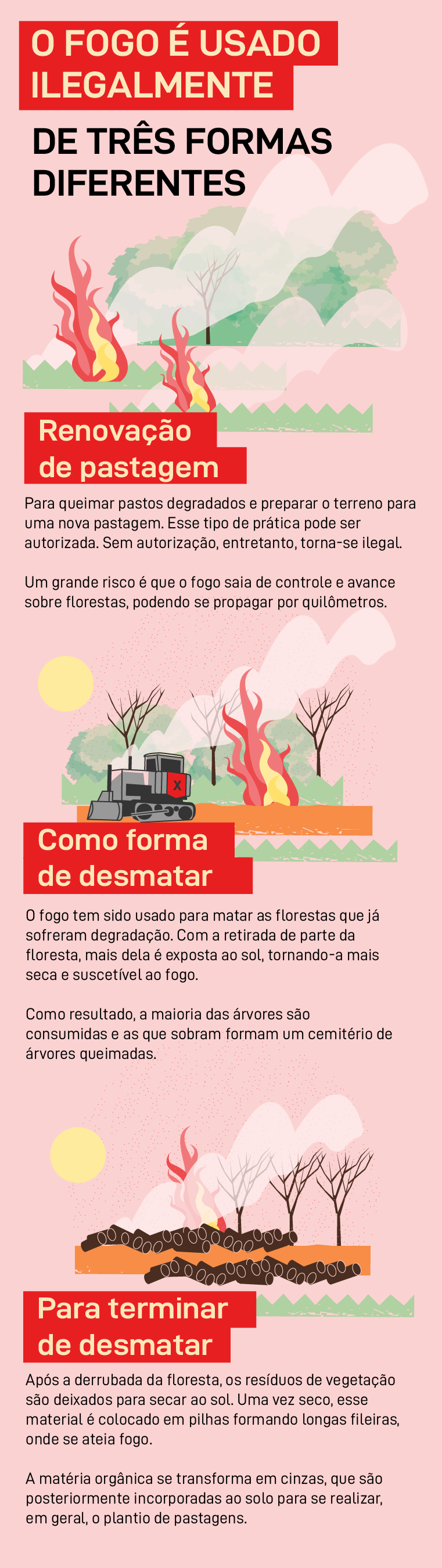 Por que a Amazônia queima?