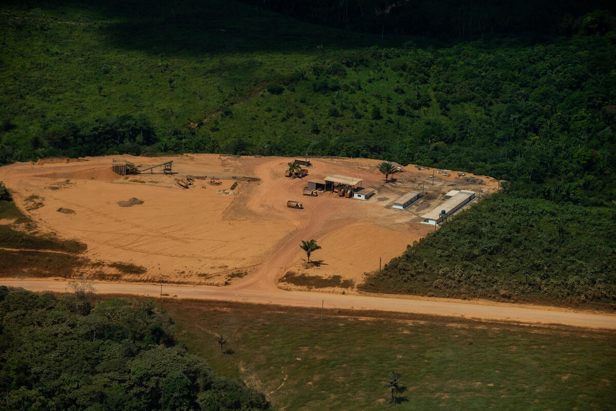 Um Ano Após o “Dia do Fogo” na Amazônia. © Christian Braga / Greenpeace