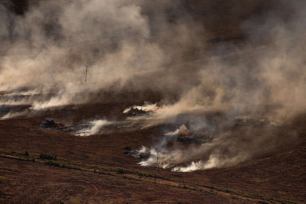 Foco de incêndio na Amazônia.