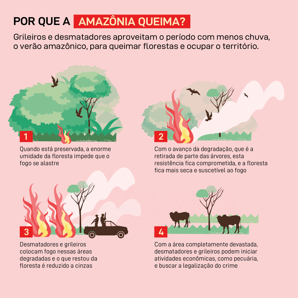 Por que a Amazônia queima?